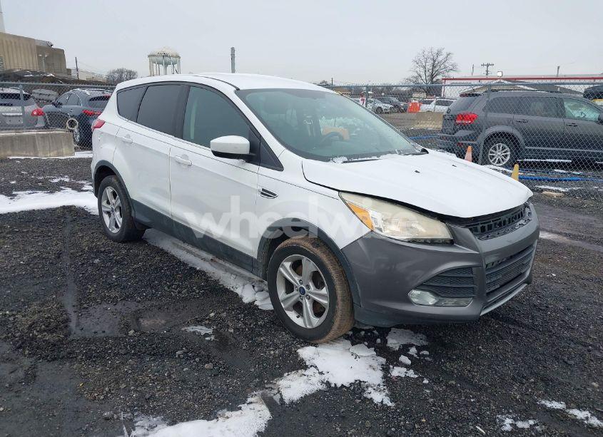 2014 Ford Escape SE (VIN 1FMCU9GX9EUB49124) main photo