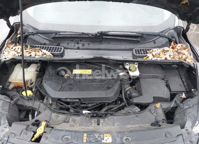 Photo 10 of 2014 Ford Escape SE (VIN 1FMCU9GX9EUC03876)