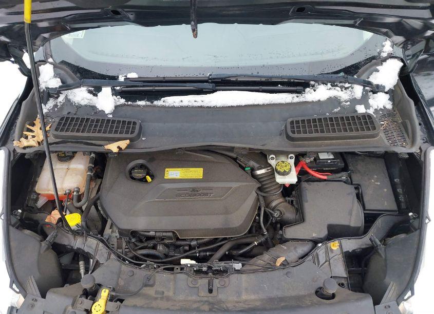 Photo 10 of 2014 Ford Escape SE (VIN 1FMCU9GX9EUC40880)