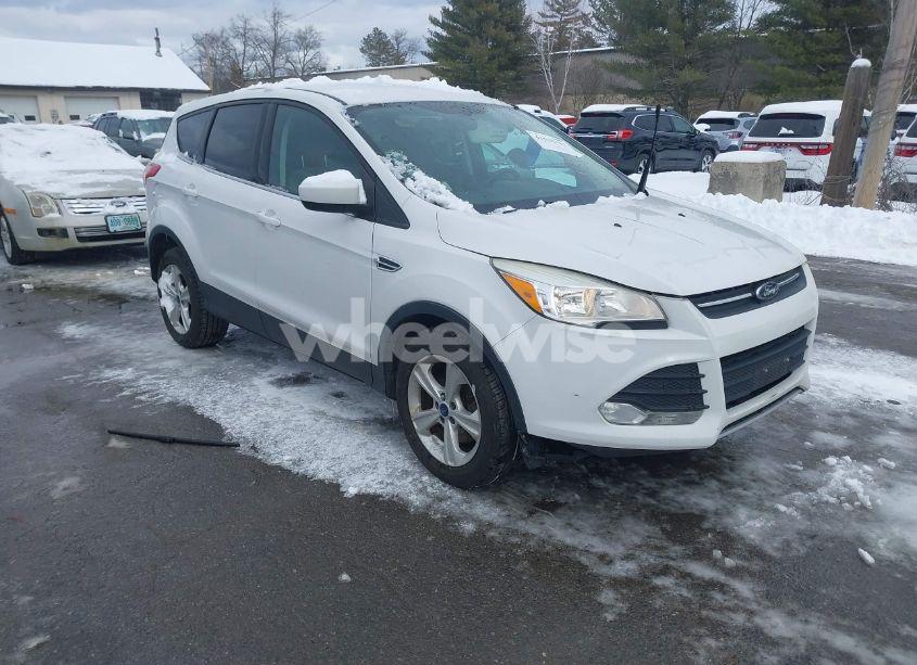 2014 Ford Escape SE (VIN 1FMCU9GX9EUC52639) main photo