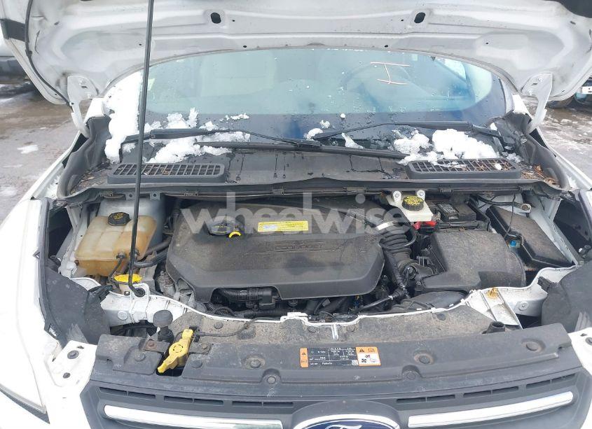 Photo 10 of 2014 Ford Escape SE (VIN 1FMCU9GX9EUC52639)