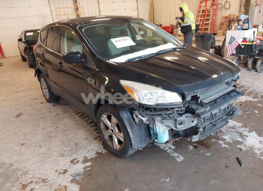 2014 Ford Escape SE (VIN 1FMCU9GX9EUC53161) main photo