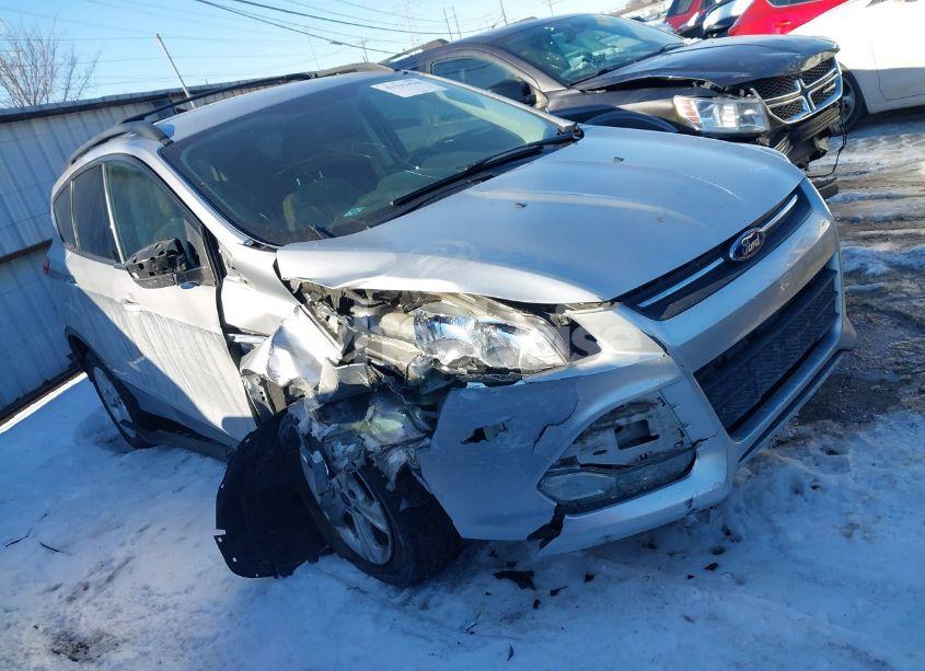 2014 Ford Escape SE (VIN 1FMCU9GX9EUD14654) main photo