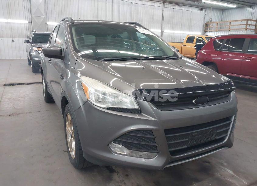 2014 Ford Escape SE (VIN 1FMCU9GX9EUD46939) main photo