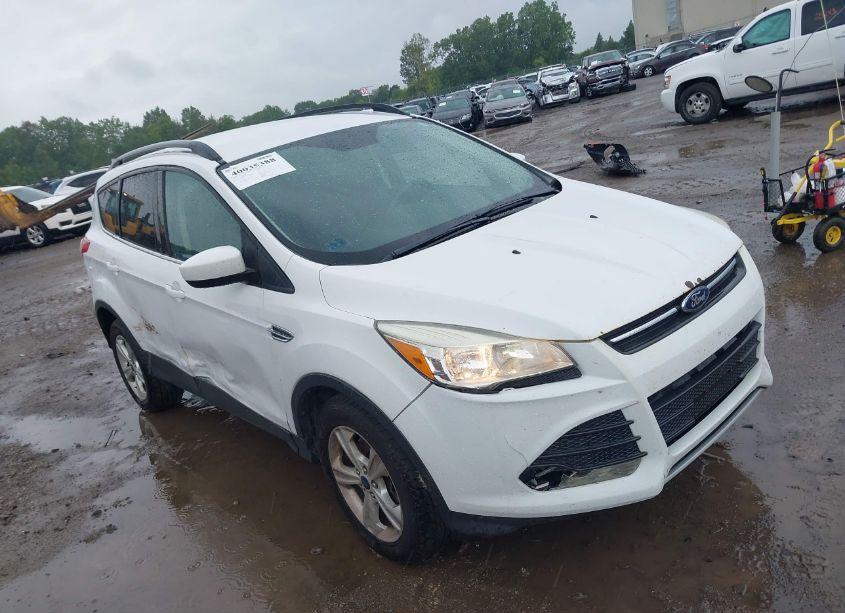2014 Ford Escape SE (VIN 1FMCU9GX9EUD61103) main photo