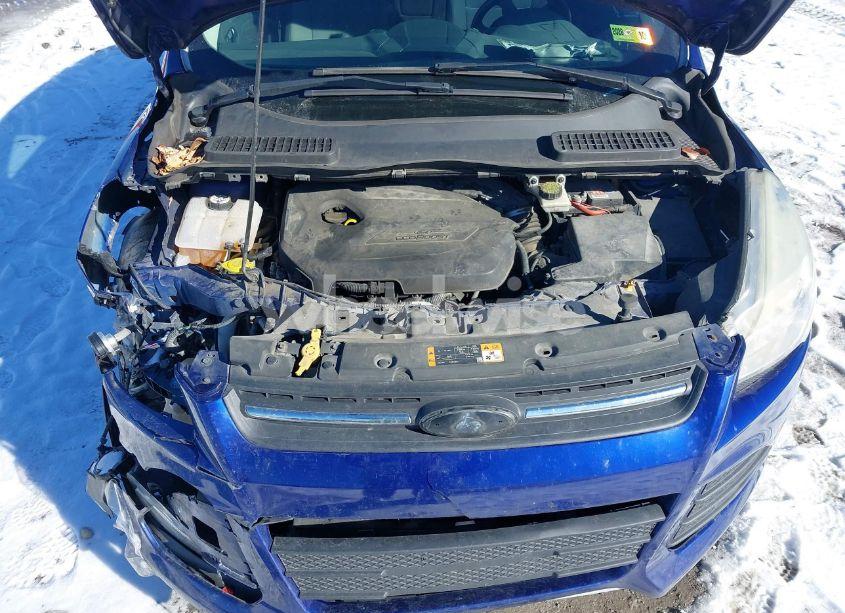 Photo 10 of 2014 Ford Escape SE (VIN 1FMCU9GX9EUD70657)