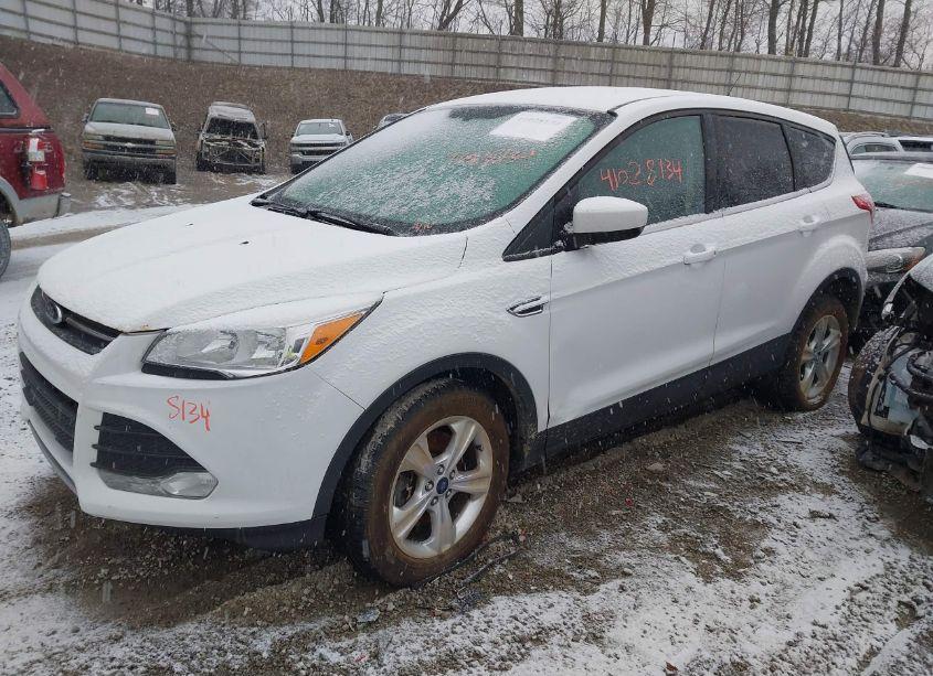 Photo 2 of 2014 Ford Escape SE (VIN 1FMCU9GX9EUD95719)