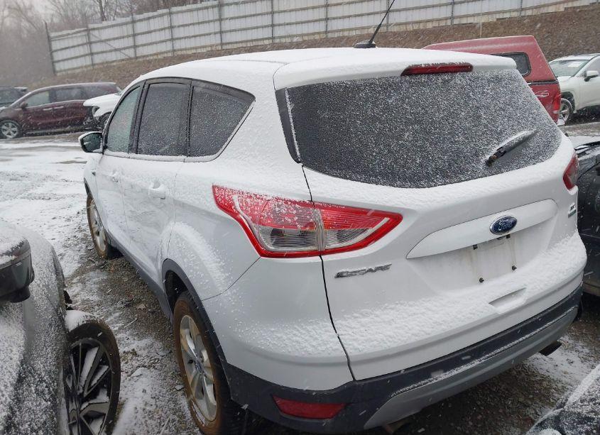 Photo 3 of 2014 Ford Escape SE (VIN 1FMCU9GX9EUD95719)