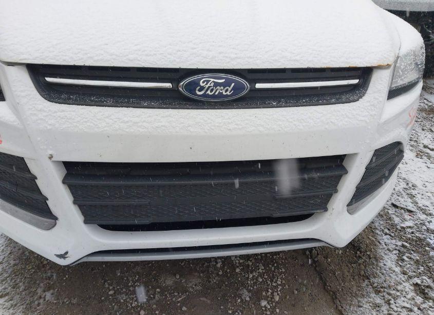 Photo 6 of 2014 Ford Escape SE (VIN 1FMCU9GX9EUD95719)