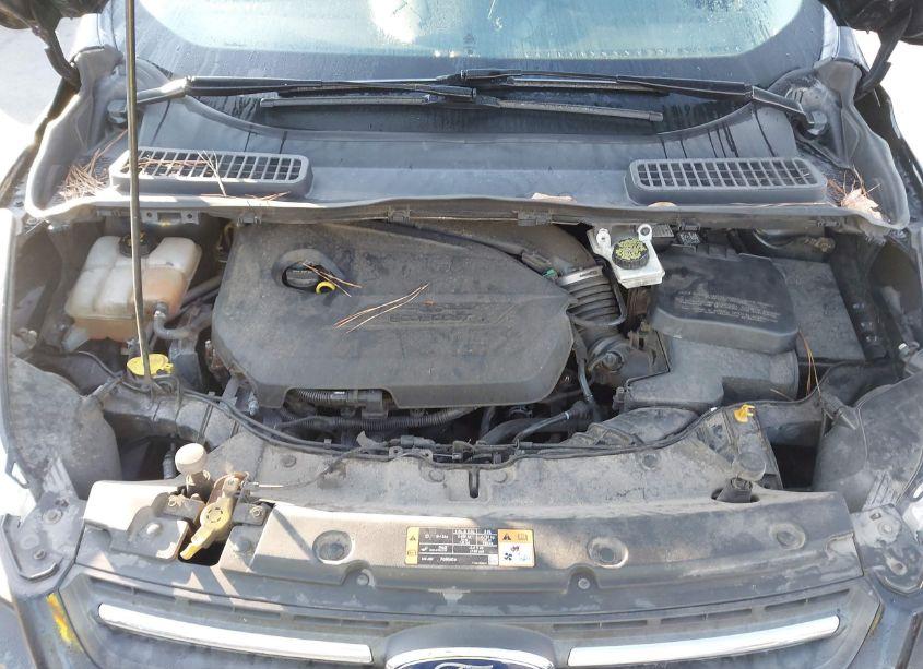 Photo 10 of 2014 Ford Escape SE (VIN 1FMCU9GX9EUE19436)