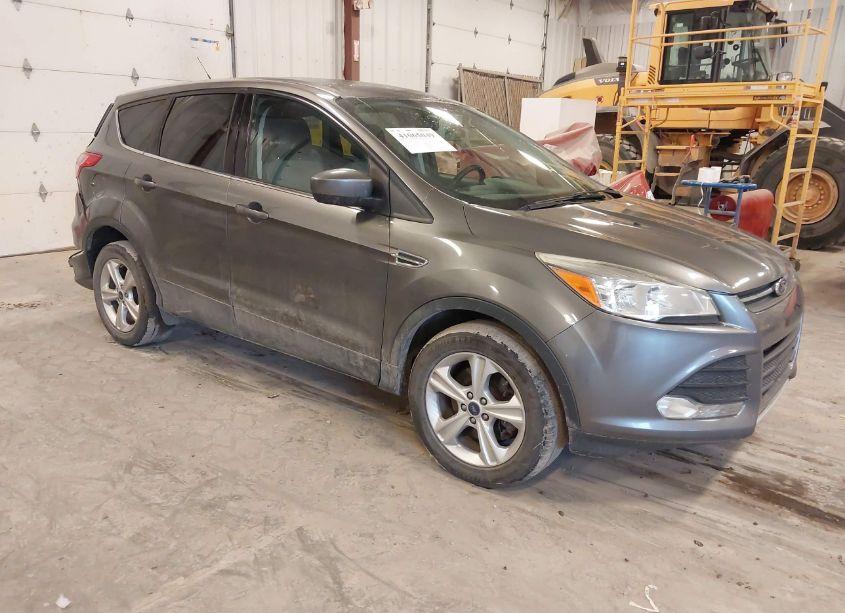 2014 Ford Escape SE (VIN 1FMCU9GX9EUE50380) main photo