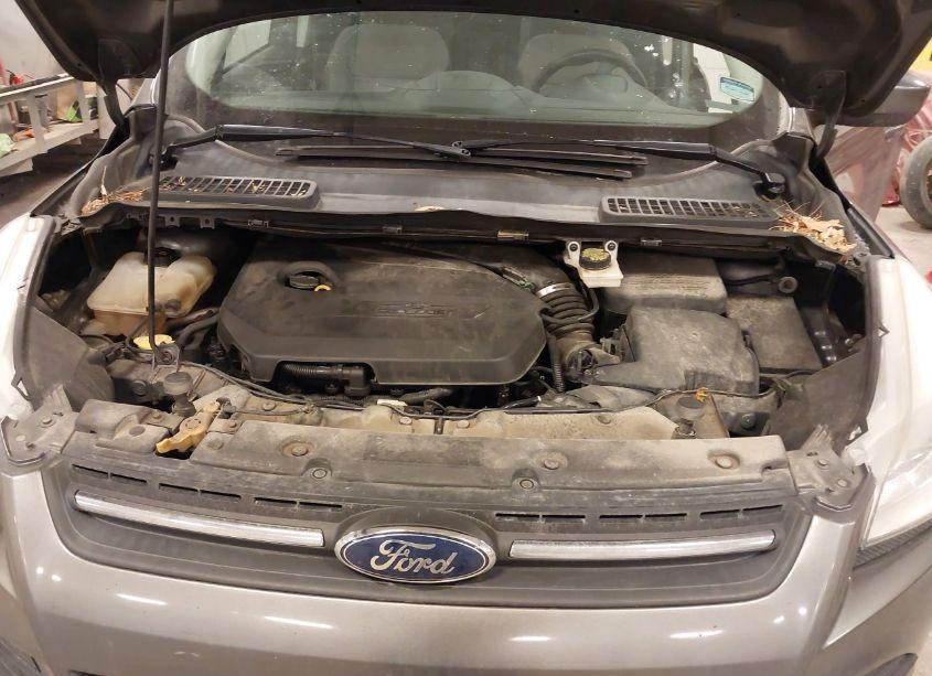 Photo 10 of 2014 Ford Escape SE (VIN 1FMCU9GX9EUE50380)