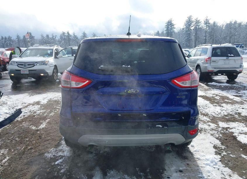 Photo 17 of 2015 Ford Escape SE (VIN 1FMCU9GX9FUB42224)