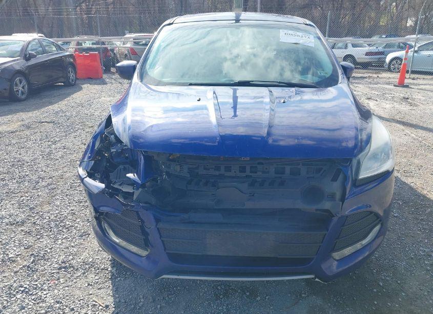 Photo 12 of 2015 Ford Escape SE (VIN 1FMCU9GX9FUC30786)