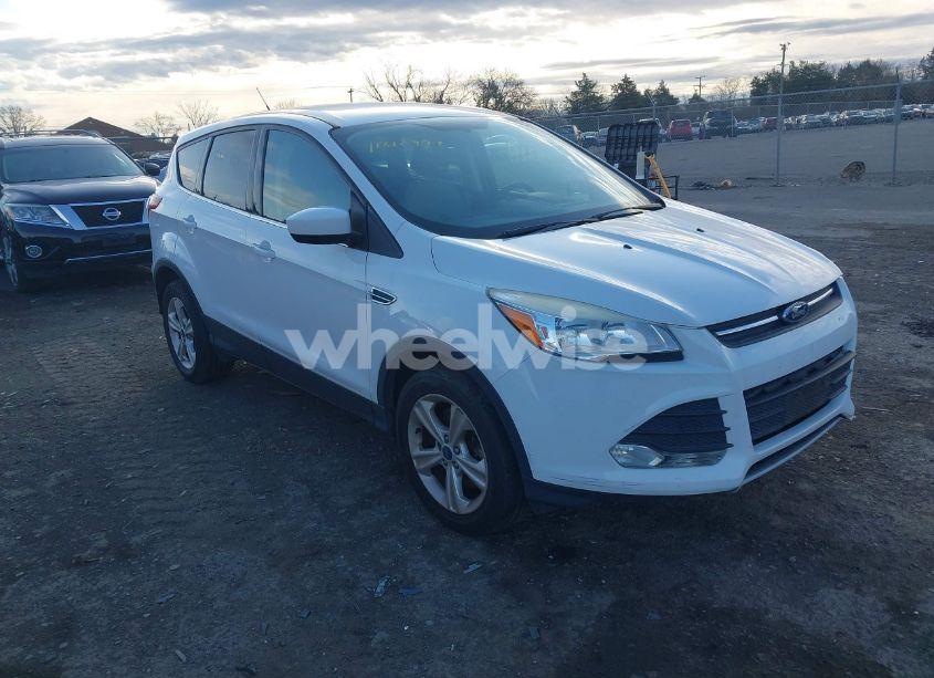 2016 Ford Escape SE (VIN 1FMCU9GX9GUA55568) main photo