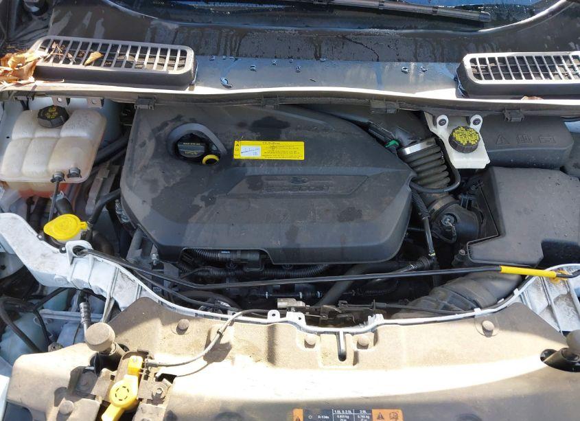 Photo 10 of 2016 Ford Escape SE (VIN 1FMCU9GX9GUA75190)