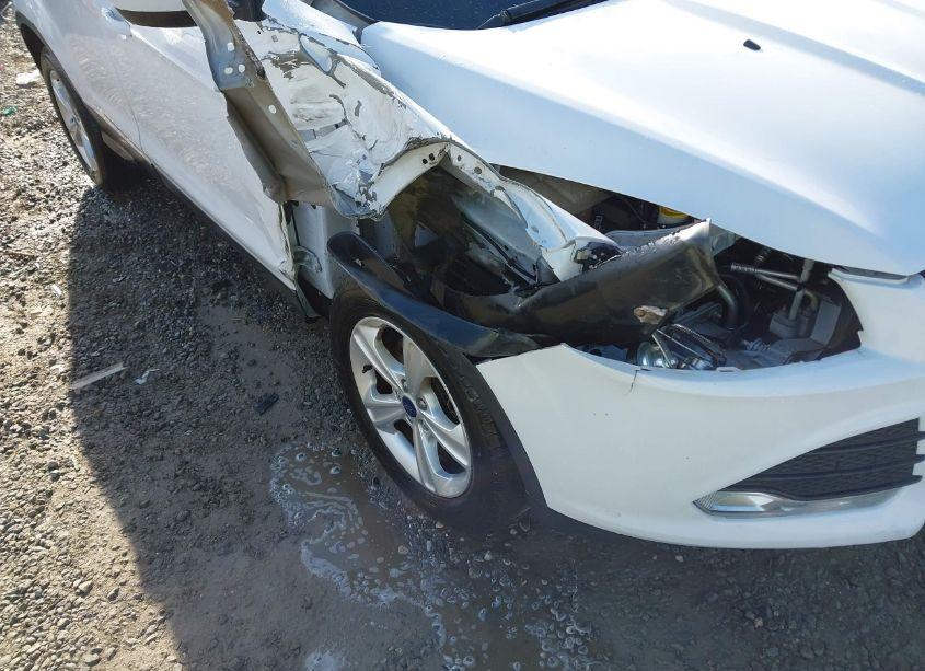 Photo 6 of 2016 Ford Escape SE (VIN 1FMCU9GX9GUA75190)