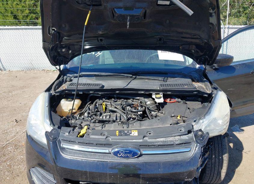 Photo 10 of 2016 Ford Escape SE (VIN 1FMCU9GX9GUA94922)