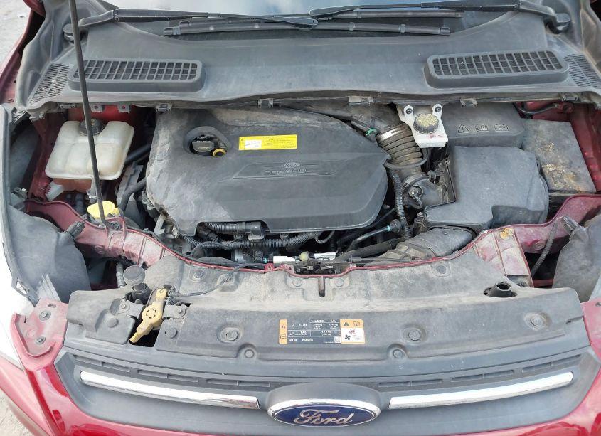 Photo 10 of 2016 Ford Escape SE (VIN 1FMCU9GX9GUC42230)