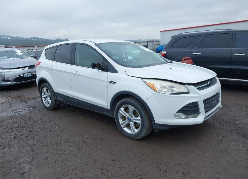 2013 Ford Escape SE (VIN 1FMCU9GXXDUA24809) main photo
