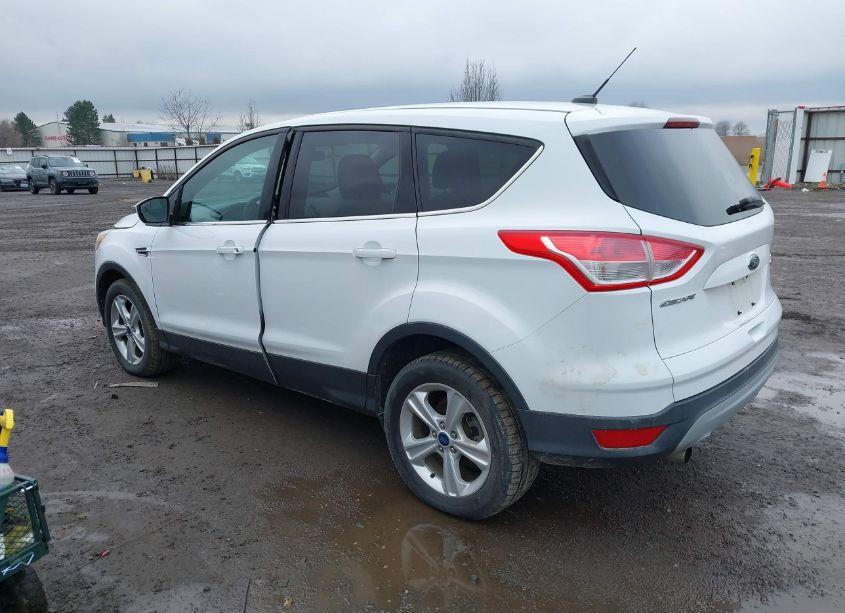 Photo 3 of 2013 Ford Escape SE (VIN 1FMCU9GXXDUA24809)