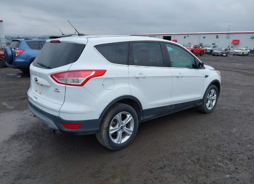 Photo 4 of 2013 Ford Escape SE (VIN 1FMCU9GXXDUA24809)