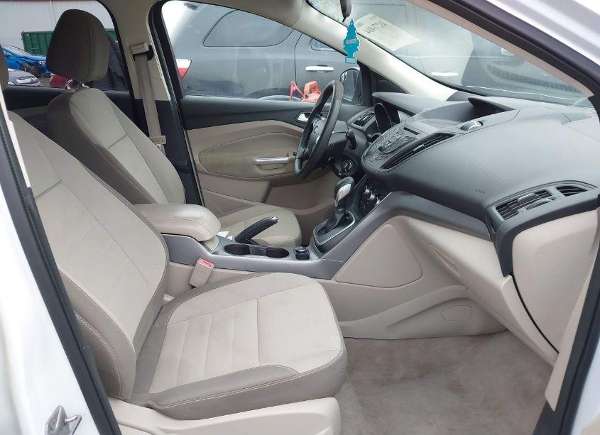 Photo 5 of 2013 Ford Escape SE (VIN 1FMCU9GXXDUA24809)