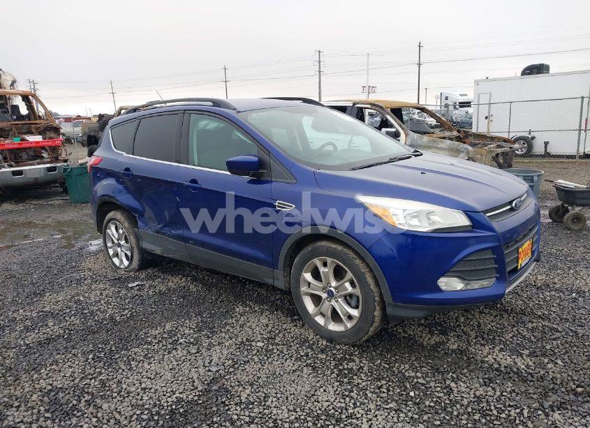 2013 Ford Escape SE (VIN 1FMCU9GXXDUD10806) main photo