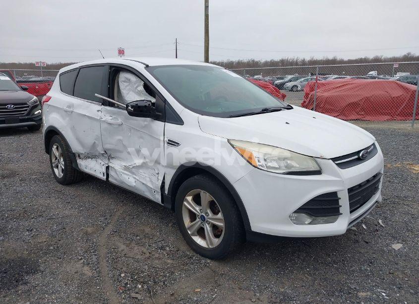 2013 Ford Escape SE (VIN 1FMCU9GXXDUD25032) main photo