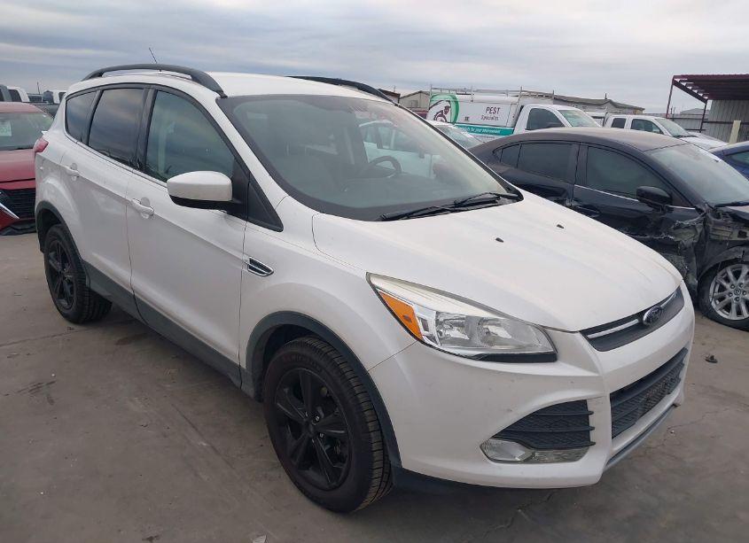 2014 Ford Escape SE (VIN 1FMCU9GXXEUB43557) main photo
