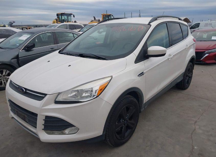 Photo 2 of 2014 Ford Escape SE (VIN 1FMCU9GXXEUB43557)