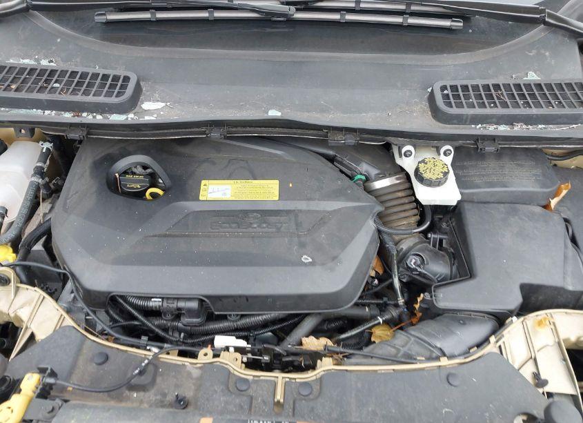 Photo 10 of 2014 Ford Escape SE (VIN 1FMCU9GXXEUB92001)