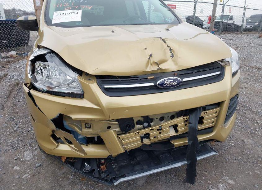 Photo 6 of 2014 Ford Escape SE (VIN 1FMCU9GXXEUB92001)