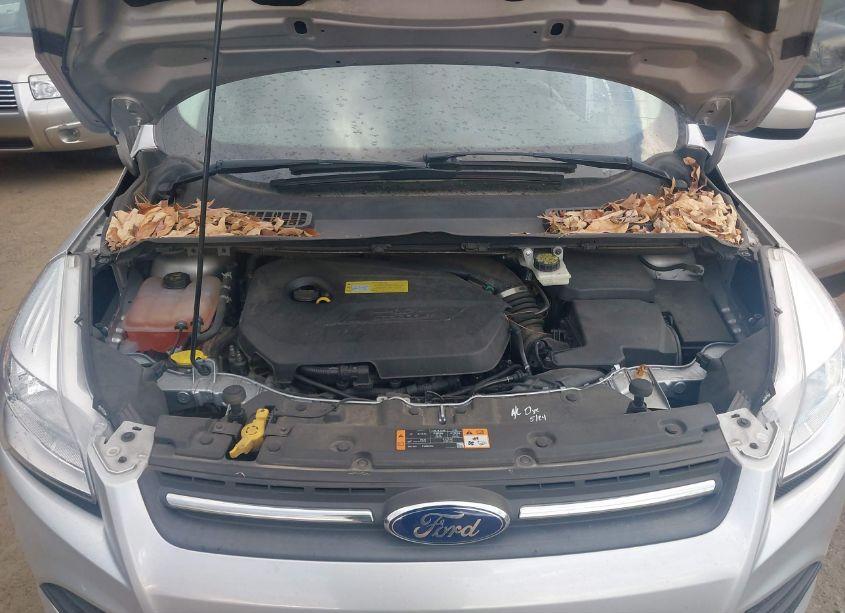 Photo 10 of 2014 Ford Escape SE (VIN 1FMCU9GXXEUC33856)