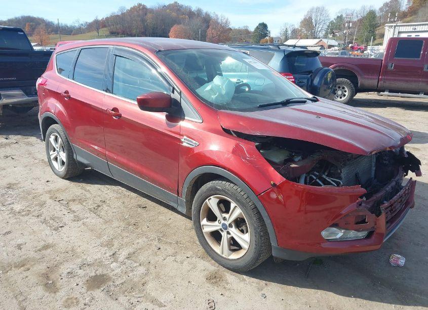 2014 Ford Escape SE (VIN 1FMCU9GXXEUC73905) main photo