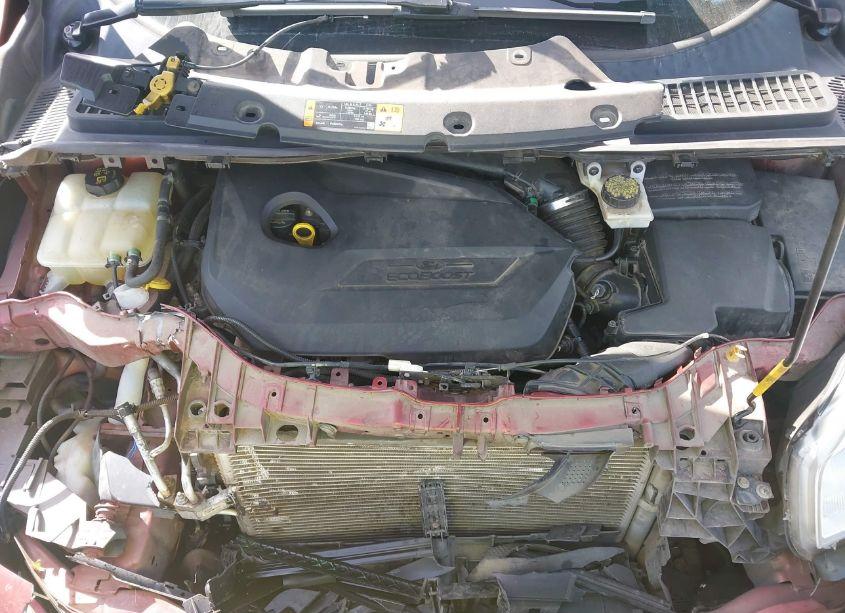 Photo 10 of 2014 Ford Escape SE (VIN 1FMCU9GXXEUC73905)