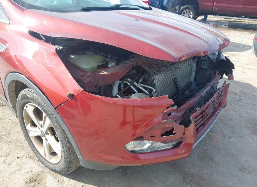 Photo 13 of 2014 Ford Escape SE (VIN 1FMCU9GXXEUC73905)