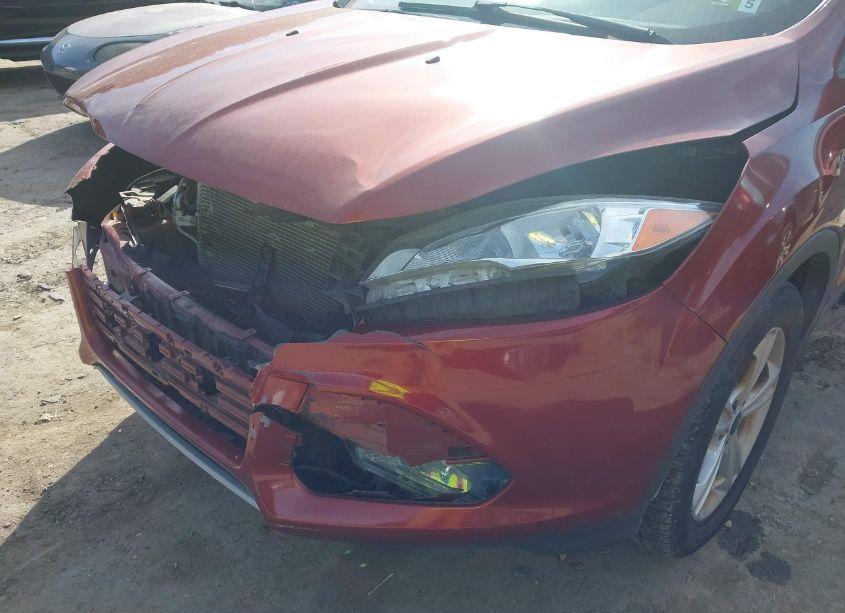 Photo 14 of 2014 Ford Escape SE (VIN 1FMCU9GXXEUC73905)