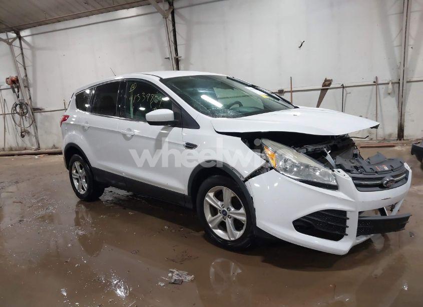 2014 Ford Escape SE (VIN 1FMCU9GXXEUD56833) main photo
