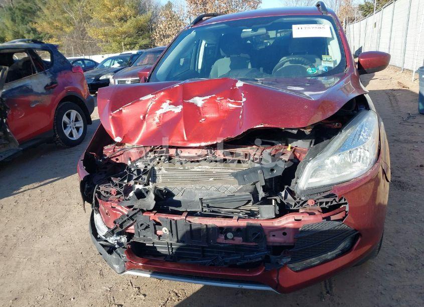 Photo 13 of 2014 Ford Escape SE (VIN 1FMCU9GXXEUD58338)