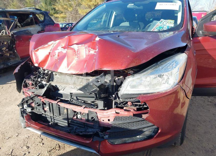 Photo 6 of 2014 Ford Escape SE (VIN 1FMCU9GXXEUD58338)