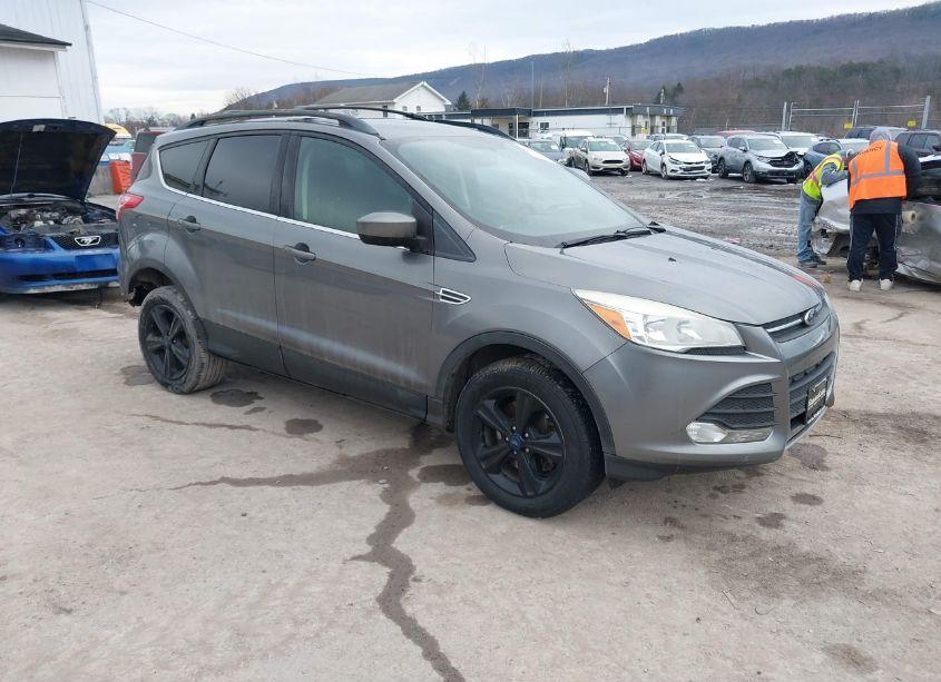 2014 Ford Escape SE (VIN 1FMCU9GXXEUE44801) main photo