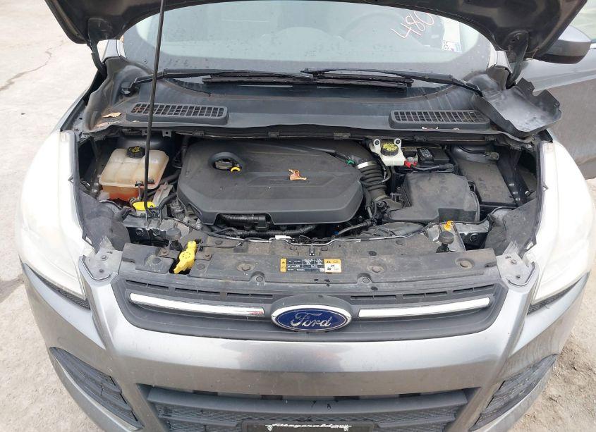 Photo 10 of 2014 Ford Escape SE (VIN 1FMCU9GXXEUE44801)