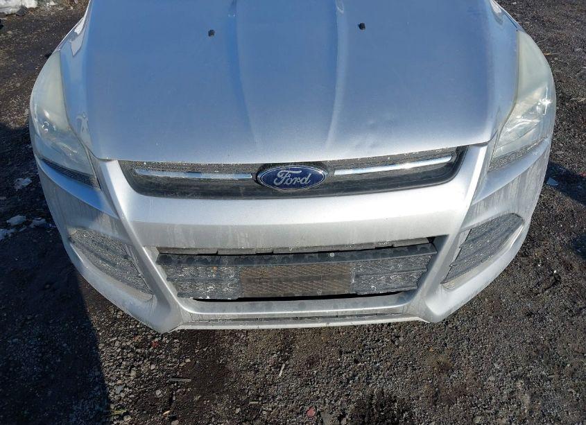 Photo 6 of 2015 Ford Escape SE (VIN 1FMCU9GXXFUA97102)