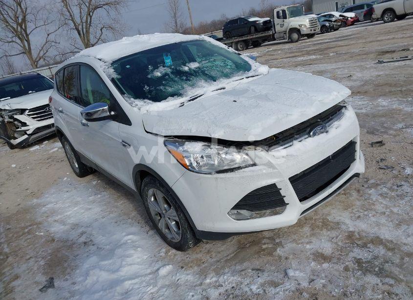2015 Ford Escape SE (VIN 1FMCU9GXXFUB08230) main photo