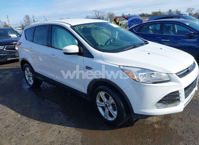 2015 Ford Escape SE (VIN 1FMCU9GXXFUB50249) main photo