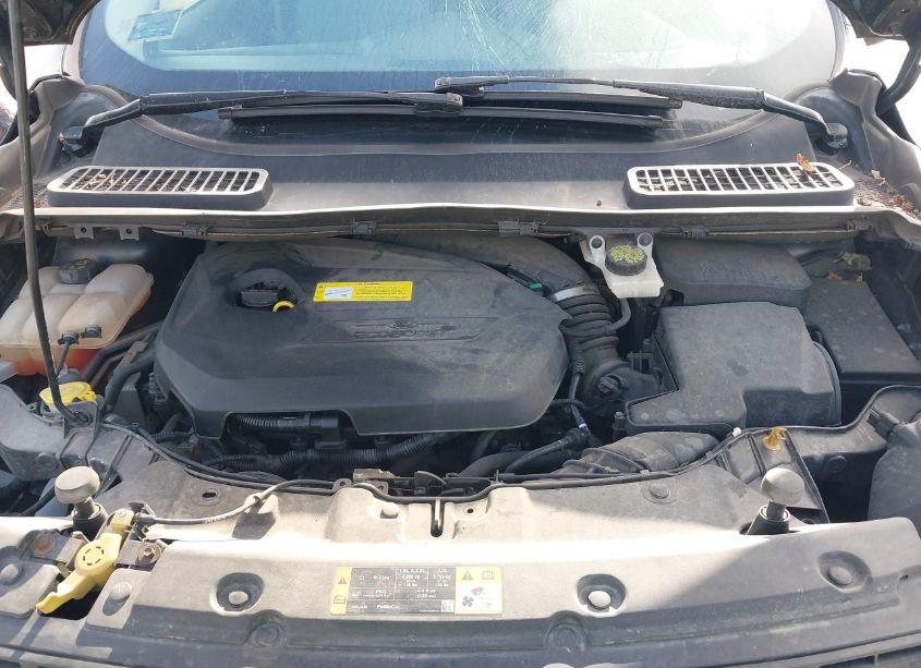 Photo 10 of 2016 Ford Escape SE (VIN 1FMCU9GXXGUA13913)