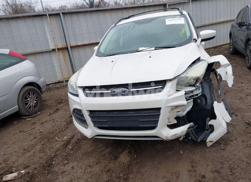 Photo 13 of 2016 Ford Escape SE (VIN 1FMCU9GXXGUA84299)