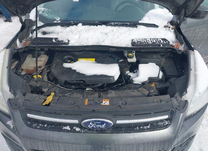 Photo 10 of 2016 Ford Escape SE (VIN 1FMCU9GXXGUA93536)