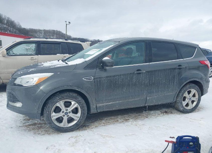 Photo 14 of 2016 Ford Escape SE (VIN 1FMCU9GXXGUA93536)